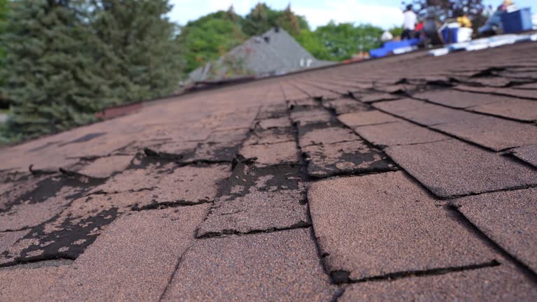 Trusted Jacksonwald, PA Roofing Experts