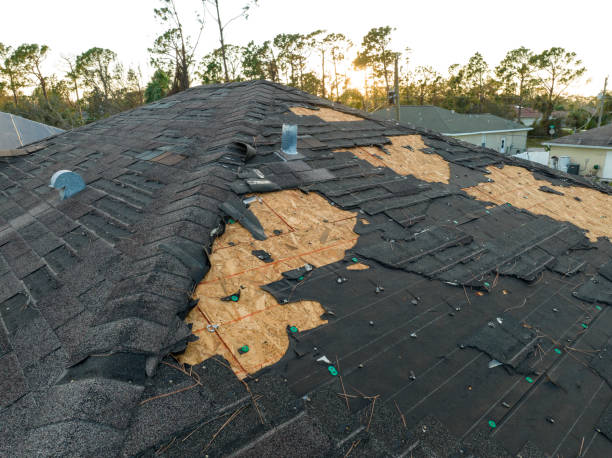 Best 4 Ply Roofing  in Jacksonwald, PA